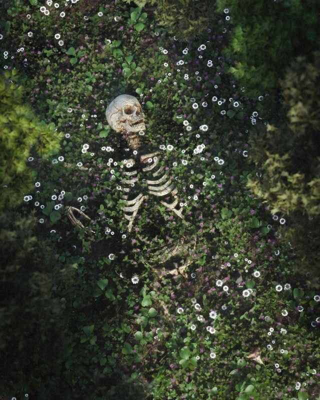 Profile Image of the Author